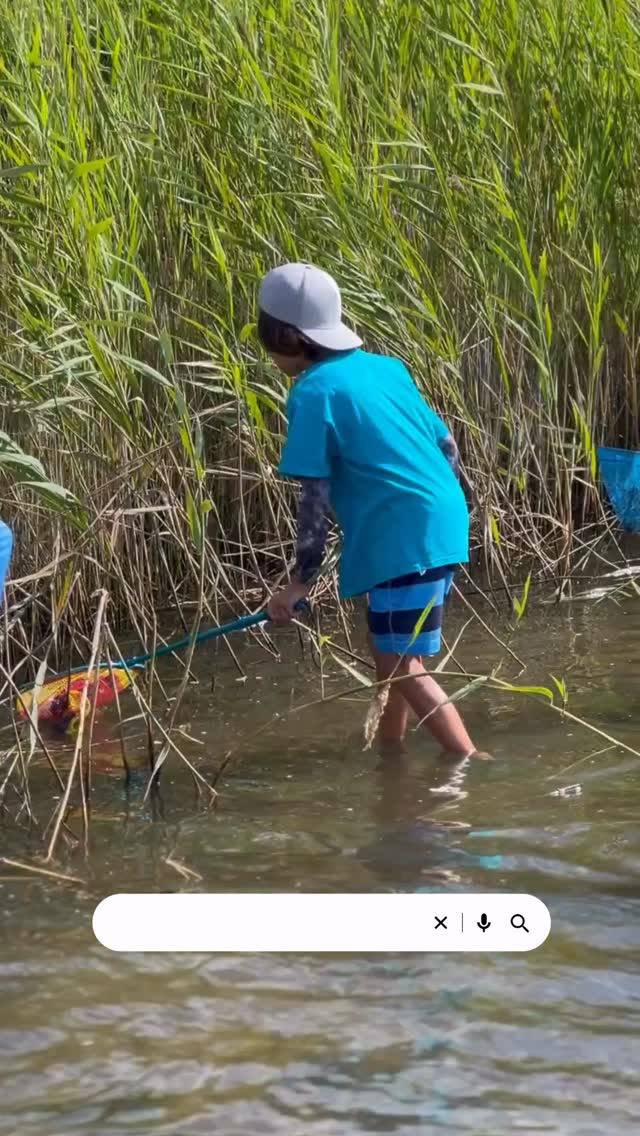 🌊 Registration is OPEN for Marine Science Camp! 🦈
Give your child a summer they’ll never stop talking about. Kids ages 5–14 dive into hands-on ocean exploration with crabbing, seining, real marine experiments, and dissections that bring marine science to life. 🦀🐠🔬
📅 Now enrolling across Maine, Rhode Island, New Hampshire, Massachusetts, New Jersey, Delaware, and Maryland — discover our unique coastal locations and find the perfect week for your young scientist at www.marinesciencecamp.com.
Share this reel to help other families discover us — we can’t wait to make waves with you this summer! 🌟
.
.
.
.
. 🎵 “Kids” - MGMT
#summercamp2026 #marinescience #stemeducation #jerseyshore #eastcoastsummer