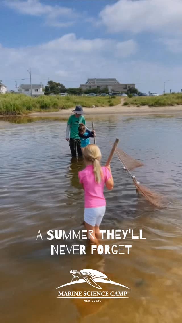 Summer is almost here, and the ocean is calling! 🌊
There’s still time to sign up for summer experience that changes everything. From tide pools to the lab bench, campers ages 5 to 14 spend their days crabbing, seining, and doing the kind of real marine science that makes them fall in love with the ocean for life. 🦀
Spots are going fast at our locations across Delaware, Maine, Maryland, Massachusetts, New Hampshire, New Jersey, and Rhode Island! Click the link in bio to find your perfect camp location! 🐠
https://marinesciencecamp.com/#camps