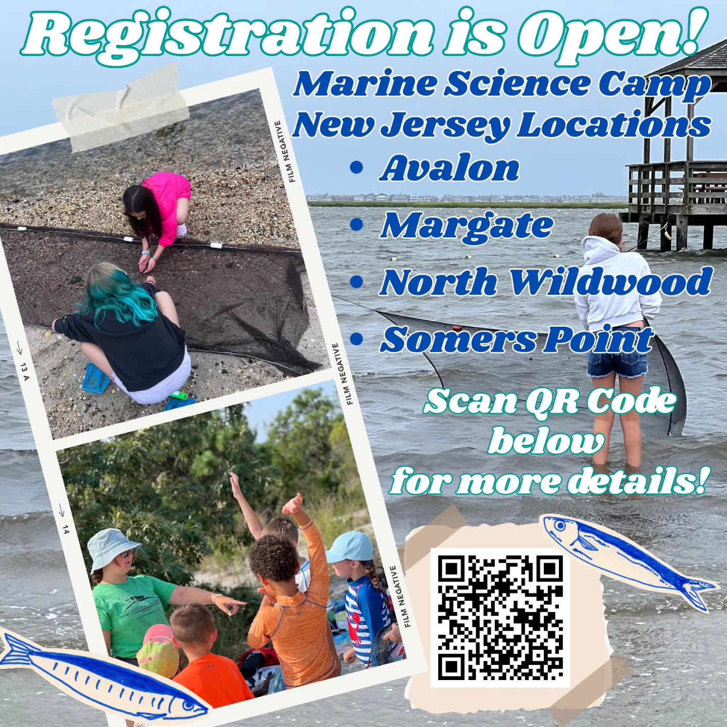 SOUTHERN NEW JERSEY — REGISTRATION IS LIVE! 🐚🌊
Several of our southern New Jersey locations are now open for registration! Avalon, Margate, North Wildwood and Somers Point are ready for a fintastic summer of learning! For more information regarding each location, check the link or scan the QR code on the post above! ☀️
Registration is now open— catch a spot now!
👉https://marinesciencecamp.com/state/new-jersey/
.
.
#oceancounty #stemeducation #newjersey #jerseyshore #marinesciencecamp
