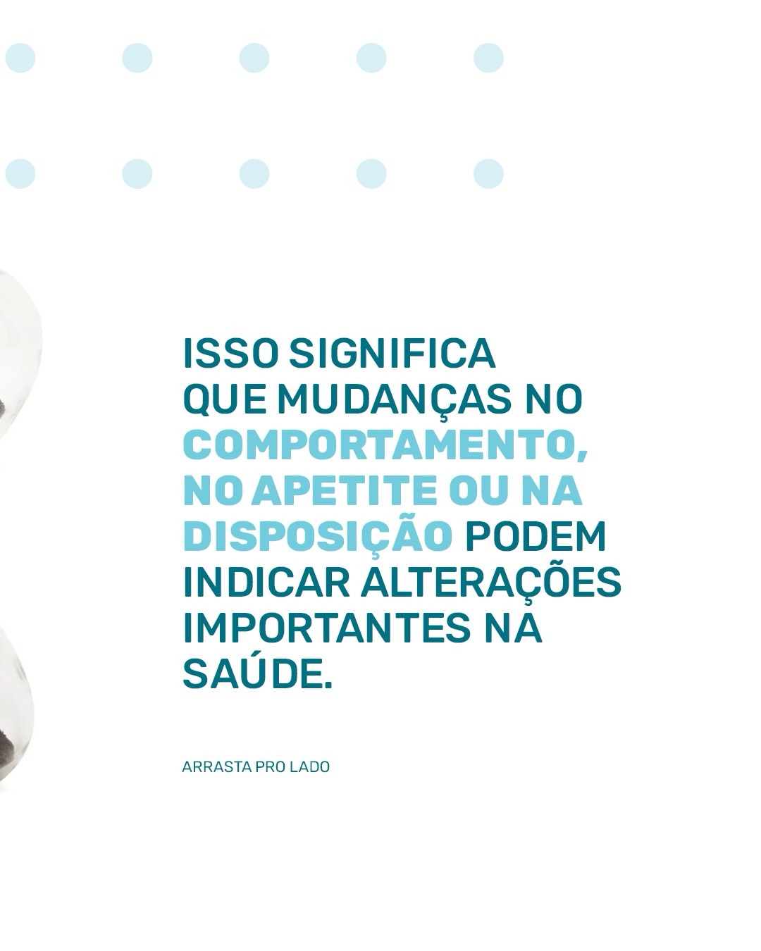 Uma das maiores demonstrações de amor por um pet é cuidar da saúde dele antes que algo aconteça.
Animais envelhecem mais rápido do que nós e muitas doenças evoluem silenciosamente. Quando percebemos algo diferente, muitas vezes o problema já existe há meses.
Consultas preventivas ajudam a identificar alterações cedo, aumentando muito as chances de tratamento e qualidade de vida.
Se faz tempo que seu pet não passa por uma avaliação veterinária, talvez seja a hora.
📍Hospital Veterinário Saúde
Cuidando com responsabilidade de quem faz parte da sua família.
#Veterinaria #HospitalVeterinarioSaude #SaudePet #CuidadoAnimal