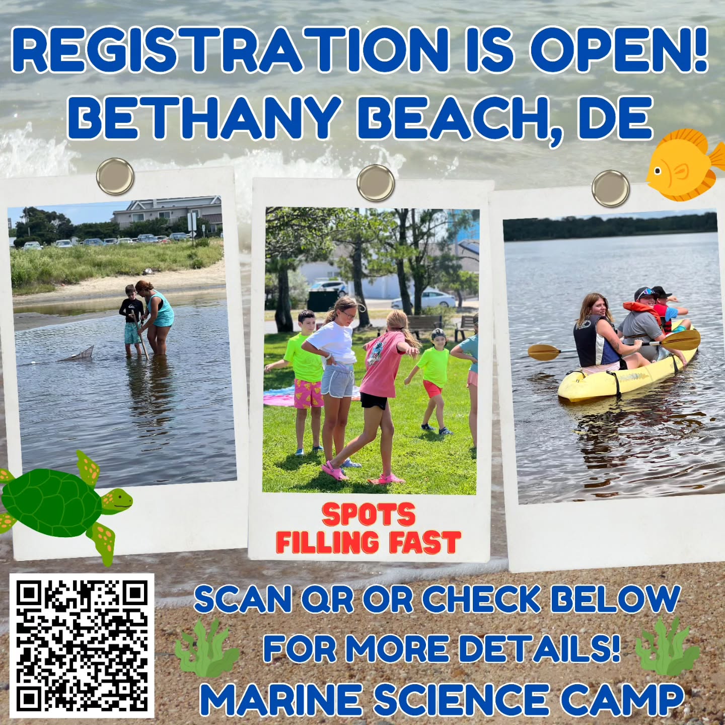 BETHANY BEACH, DE — REGISTRATION IS LIVE! 🎣🦑
Bethany Beach is ready for this summer! This location has both full day sessions and half day sessions! Teen camp (ages 11-16) is available for ONE week only! Explore the Ocean View Parkway Beach! We may also visit James Farm and the Nature Center!
📍Ocean View Parkway Beach, Bethany Beach, DE 19930
Spots fill fast so be shore to get yours soon!
Registration is now open— catch a spot now!
👉https://marinesciencecamp.com/camp/bethany-beach-m-f-9am-2pm-ages-5-14/
.
.
#sussexcounty #stemeducation #Delaware #bethanybeachde #marinesciencecamp