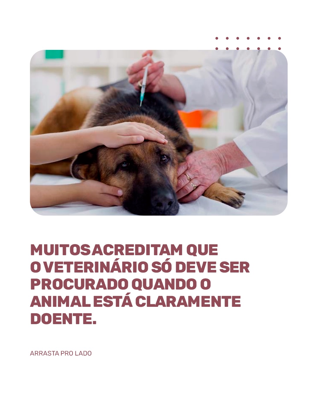 Assim como na medicina humana, a medicina veterinária também evoluiu muito.
Hoje sabemos que a prevenção é o caminho mais seguro para garantir saúde e longevidade para os animais.
Vacinas em dia, exames de rotina e acompanhamento veterinário ajudam a identificar alterações ainda no início.
Isso evita sofrimento para o animal e também tratamentos mais complexos no futuro.
Se você ama seu pet, inclua a saúde dele na sua rotina.
#VeterinariaPreventiva #HospitalVeterinarioSaude #CuidadoPet