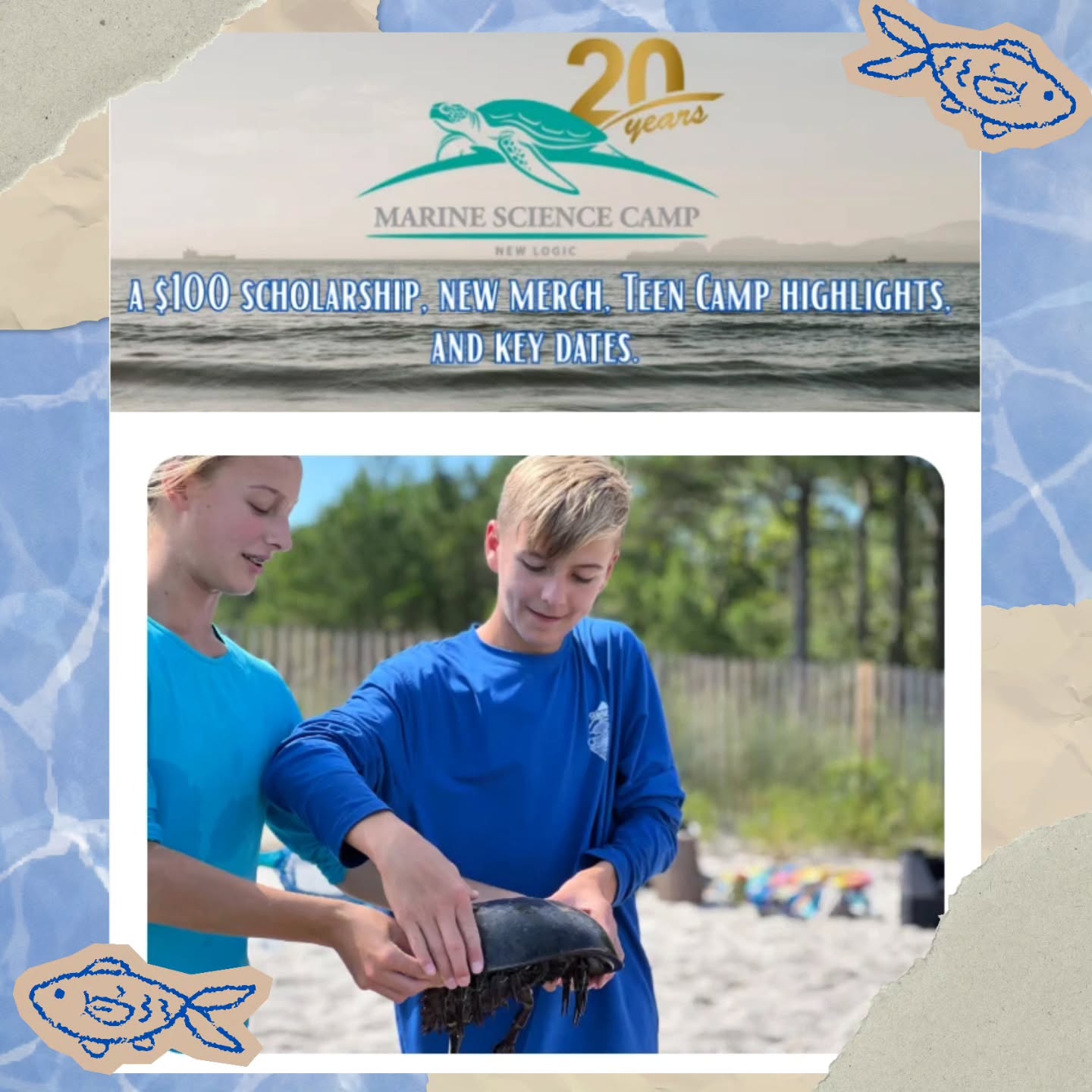🌊 Our latest newsletter is OUT and it's packed! 🐢 Teen Camp is here and Summer 2026 is filling up fast.
Don't wait, go to marinesciencecamp.com to join the newsletter today! 🎉
.
.
.
#MarineScienceCamp #SummerCamp #TeenCamp #OceanScience