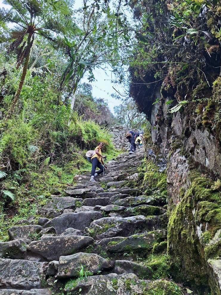The Inca Trail to Machu Picchu is one of the biggest highlights for trekkers in Peru! Since permits sell out quickly, we highly recommend booking this trek well in advance. Feel free to reach out to us – we’d be happy to help you secure your spot or find a great alternative trek if availability is limited.
Thanks to Ofelia for the beautiful photos!
#apusperu #incatrail #machupichu