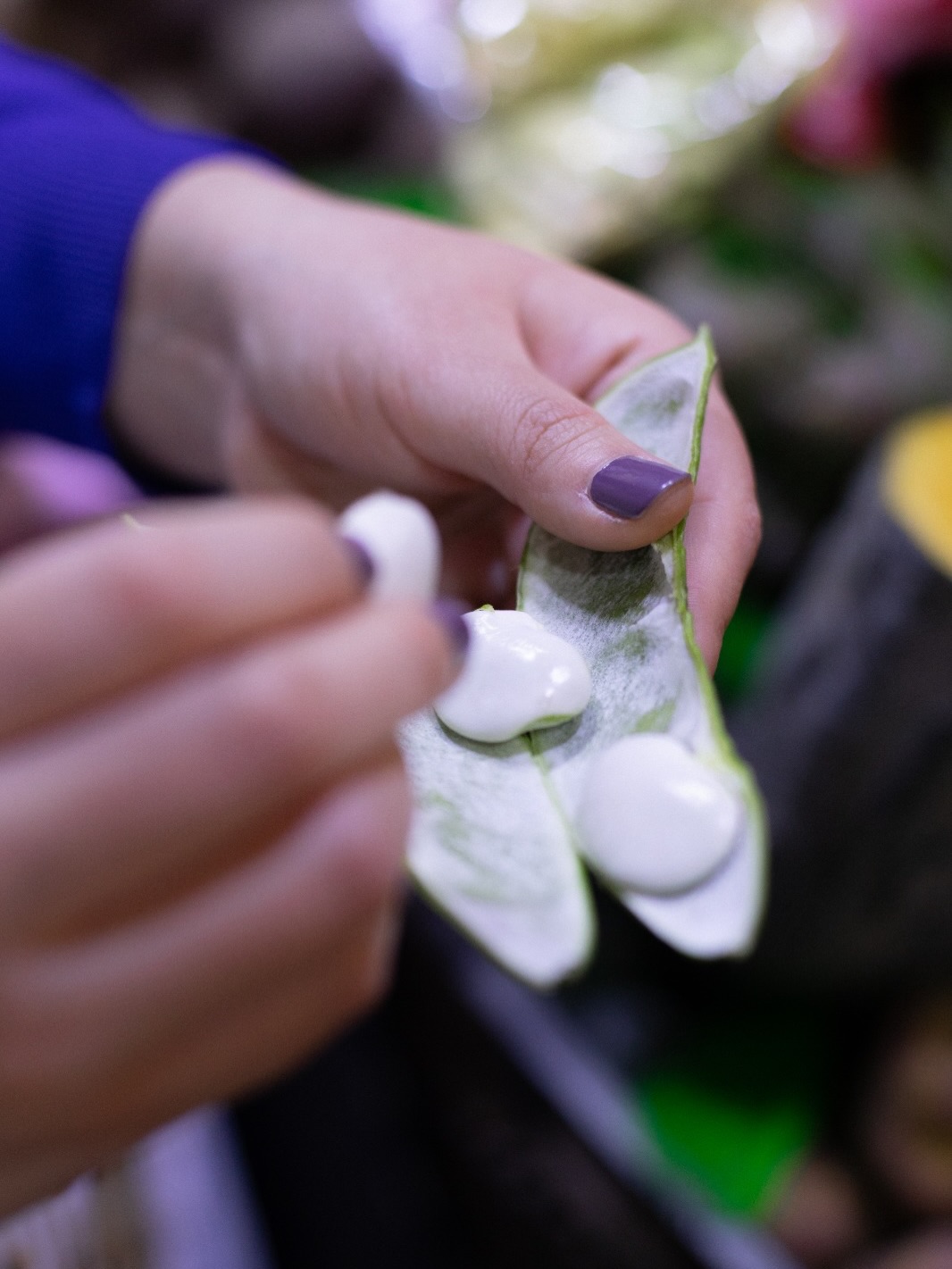 A journey through Peru starts with its flavors. And there’s no better place to taste them than Lima. 🍋🐟
#foodtourism #apusperu #limaperu