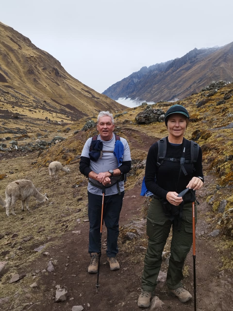Trade busy roads for ancient trails and discover the authentic spirit of the Andes. 🏔️ ❤️ #apusperu #larestrek #andesmountains