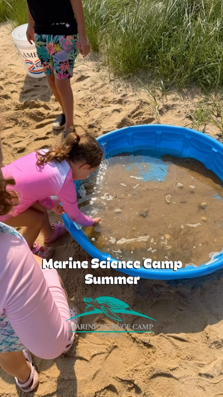 We’ve had an otterly 🦦amazing summer of seining, kayaking, and marine animal magic! There’s still time to join the fun, with spots open for camps through the end of August! Sign up today in the link in our bio!