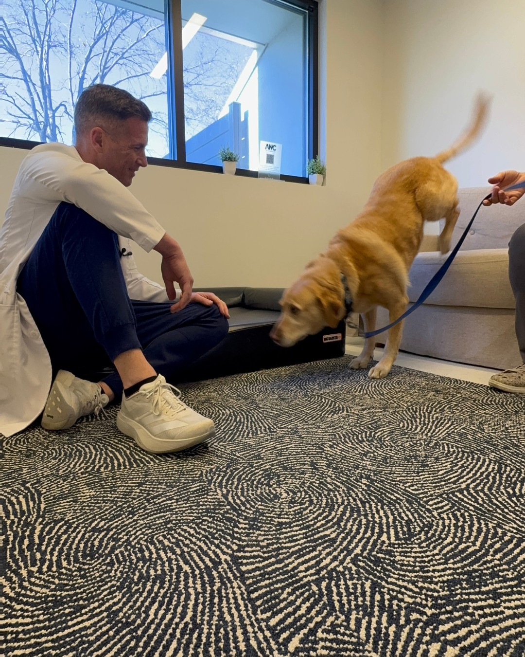 Meeting patients where they are. Dr. Wininger takes time to build trust with a nervous patient before the exam even starts. Fear-free handling isn't an extra step here; it's the standard.
#stlouis #stlpets #theanc #veterinaryneurology #VetNeuro #VeterinaryNeurology #VetMed
